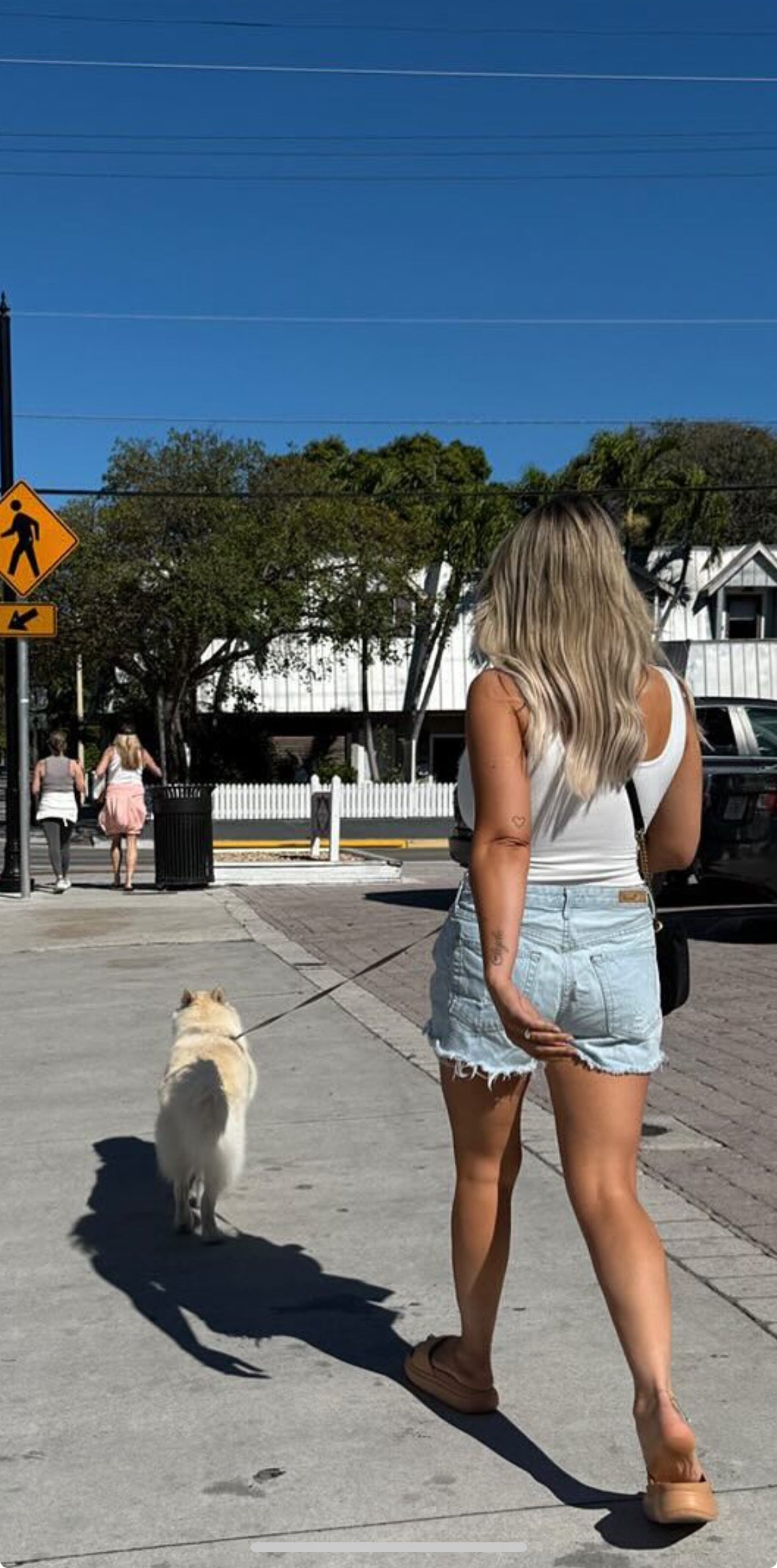 Trophy Wife 15% - Liter